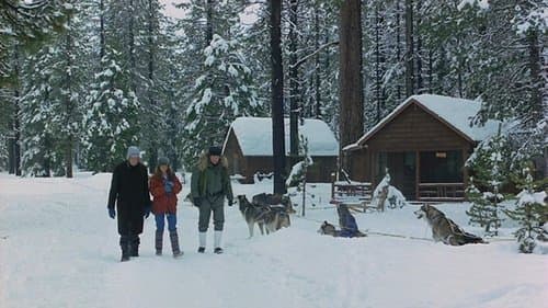 Die Überlebenskünstler Bild 1