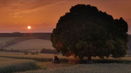 König von Deutschland Bild 7