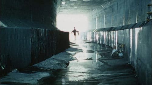 真・仮面ライダー序章 Bild 7