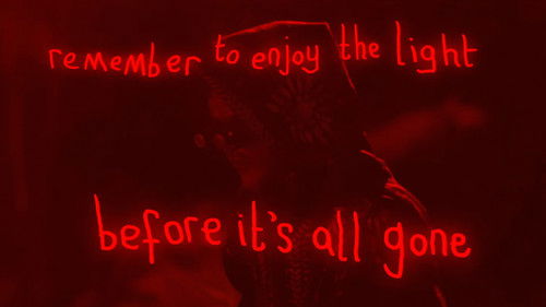 Remember To Enjoy The Light Before It’s Gone Bild 3