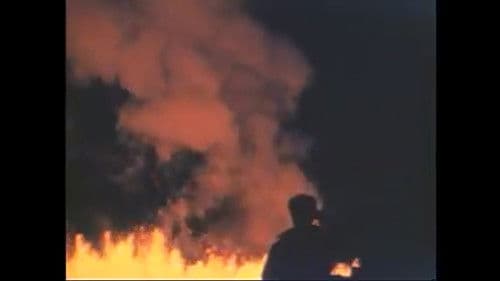 Mauna Loa Volcano Bild 1