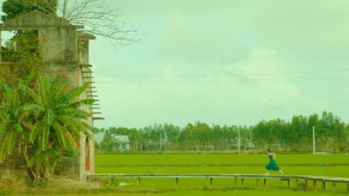 미트 세이비카 Bild 1