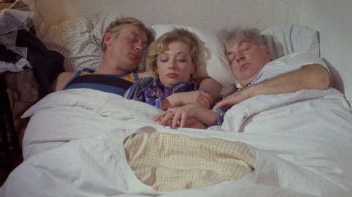 Жених из Майами Bild 1