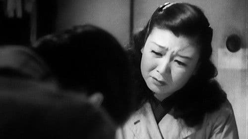 Ein wunderschöner Sonntag Bild 5