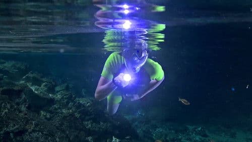 Wunder des Lebens Bild 4