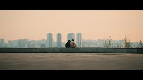 Гуси кохання Bild 1