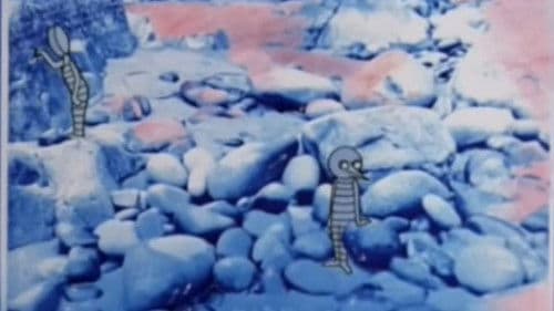 Dream Geometry Bild 1