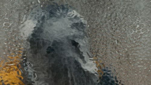 Cloud クラウド Bild 8