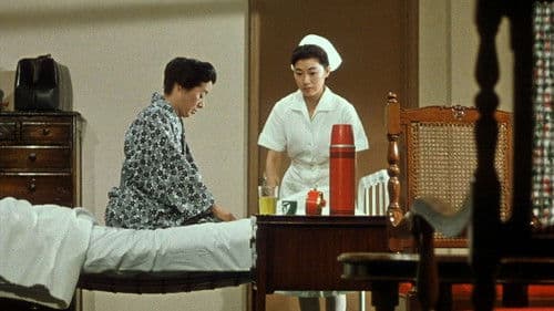 Sommerblüten Bild 5