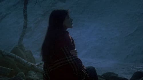 Maria Chapdelaine Bild 2