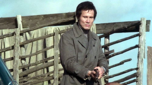 L'uomo della strada fa giustizia Bild 5