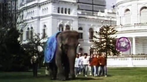 Un elefante en banda Bild 1