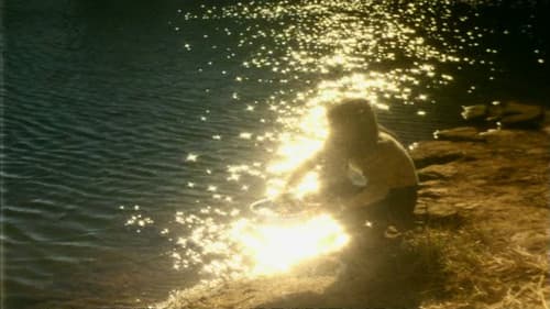 O Território Bild 6