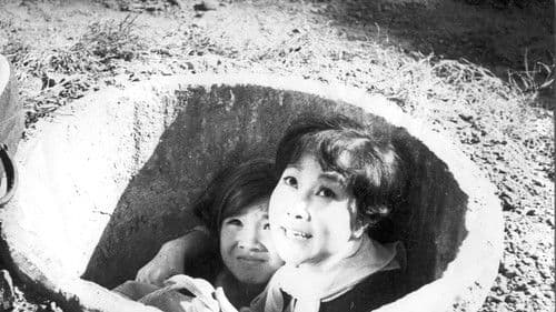 Em bé Hà Nội Bild 3