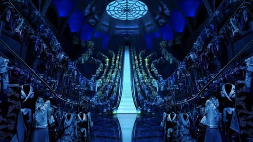 Brim Broome Boulevard Bild 1