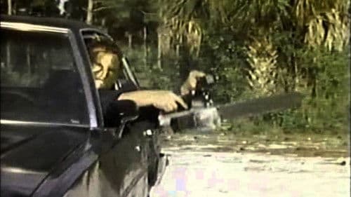 Truth or Dare? - A Critical Madness Bild 2