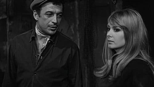 Efkârlıyım Abiler Bild 1