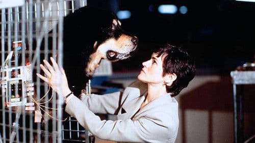 Der Tod kommt auf vier Pfoten Bild 7