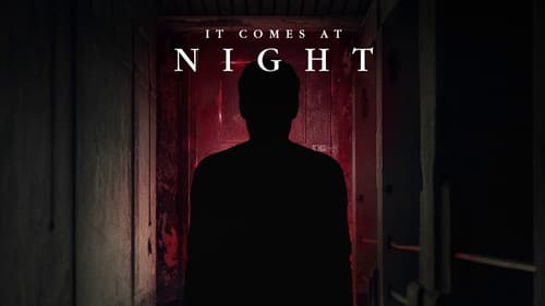 It Comes at Night Bild 5