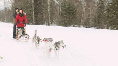 Eine Weihnachtsgeschichte aus dem Norden Bild 5