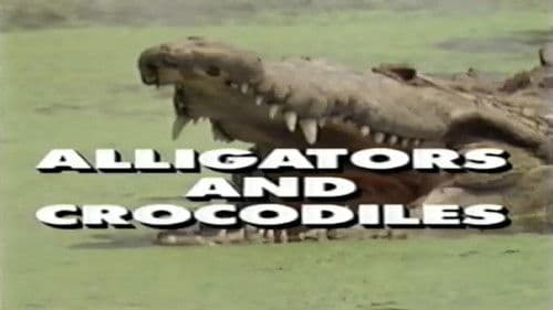 Predators of the Wild: Crocodiles and Alligators Bild 1