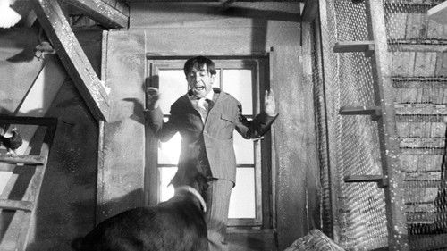 Das indische Tuch Bild 3