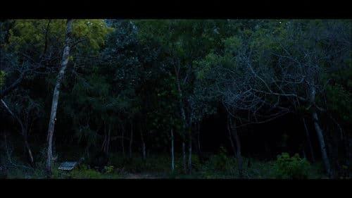 A Mata Não Esquece Bild 1