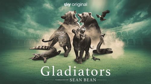 Gladiators Bild 3