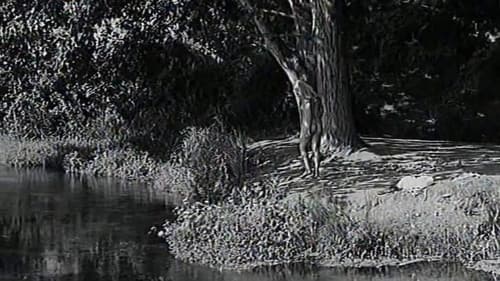 Δάφνης και Χλόη: Οι μικροί ερασταί Bild 6