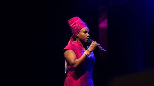 Angélique Kidjo : 40 ans de carrière Bild 7