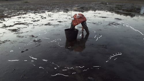 Tatuado nos ollos levamos o pouso Bild 2