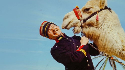 Carry On: Secrets & Scandals Bild 1