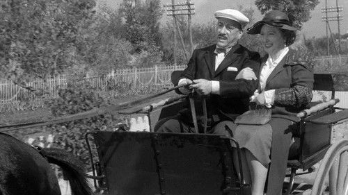 La nipote Sabella Bild 6