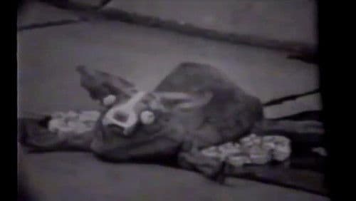 Zombie! vs. Mardi Gras Bild 3