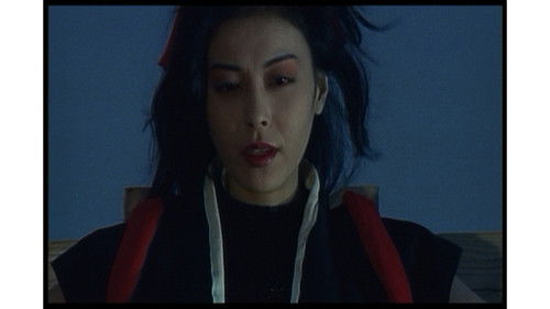 Kunoichi - Lady Ninja Bild 6