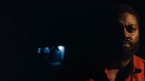 The Fire and the Moth Bild 3