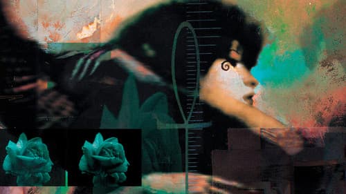 DC Showcase: Death Bild 6