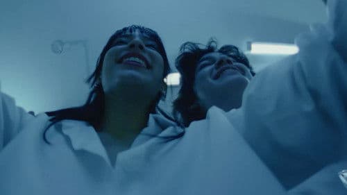 Al amor se ha dicho Bild 4