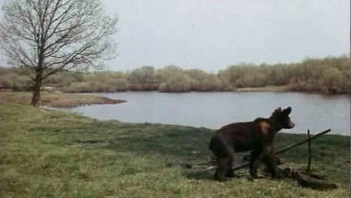 Мишка, Малыш и другие Bild 1