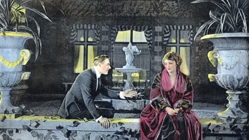 Shadows of Suspicion Bild 1