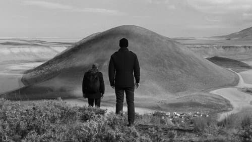 Grain – Weizen Bild 1