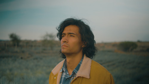 Agaves al alba Bild 3