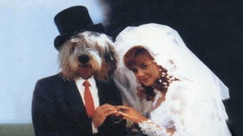 Zottis tolle Abenteuer Bild 3