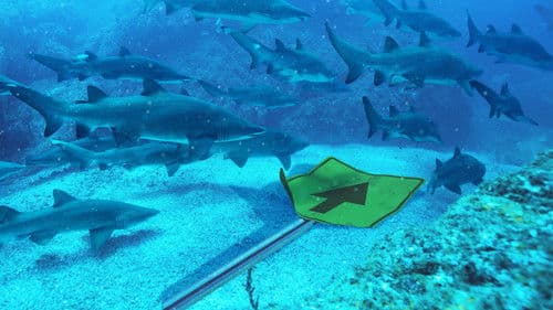 Super Shark Highway Bild 4