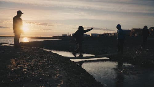 Arctic Summer Bild 1