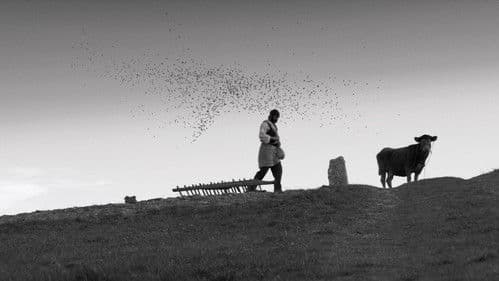 Die andere Heimat - Chronik einer Sehnsucht Bild 7