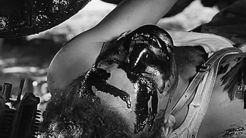 Nicht mehr fliehen Bild 5