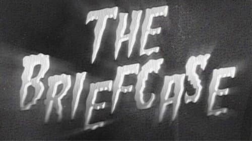 THE BRIEFCASE Bild 1