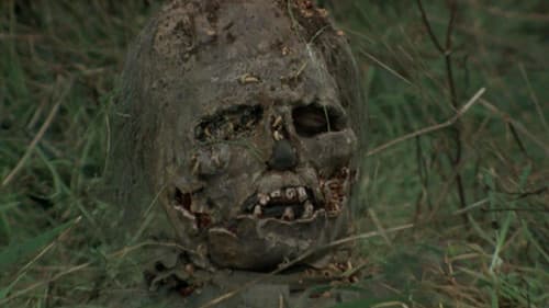 Die Rückkehr der Zombies Bild 5