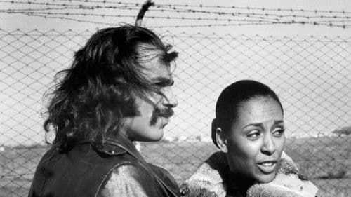 Super Fly T.N.T. Bild 3